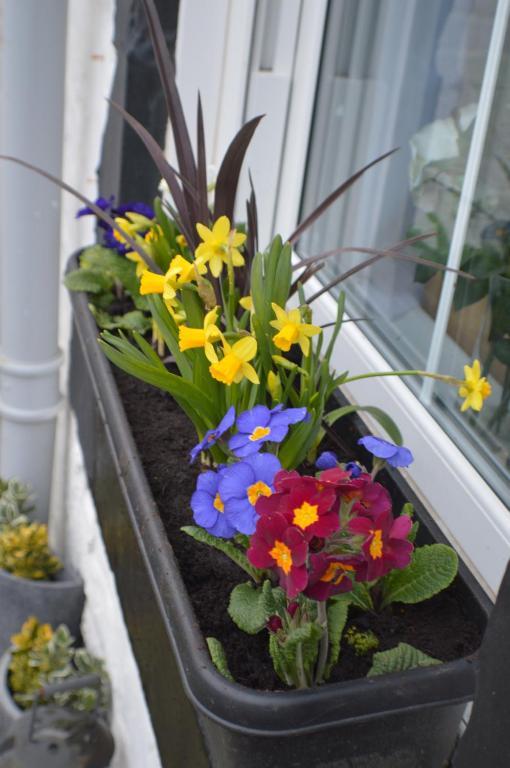 Craggallan Guest House Ayr Luaran gambar